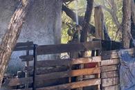 Sofocan incendio en vivienda