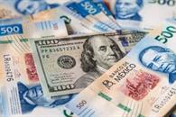 Brilla el peso mexicano frente al d&oacute;lar