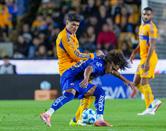 Tigres cae con Pumas en casa Tigres cae con Pumas en casa