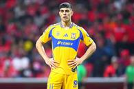 Borra Brunetta de sus redes todo lo relacionado a Tigres