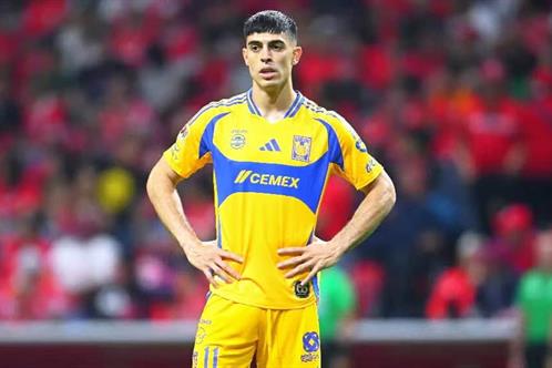 Borra Brunetta de sus redes todo lo relacionado a Tigres