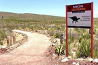 M&eacute;xico concentra hallazgos de dinosaurios