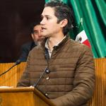 Advierten sobre posible brote del insecto descortezador en Santiago