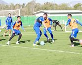 Tigres, obligados a sacar el triunfo