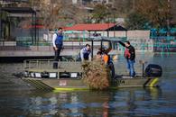 Inicia Santiago la siembra de microh&aacute;bitats en La Boca