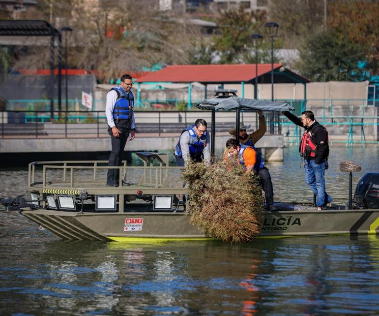 Inicia Santiago la siembra de microh&aacute;bitats en La Boca