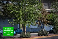 Transforman &acute;Bosques Ciudadanos&acute; el paisaje