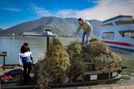 Inician restauraci&oacute;n ecol&oacute;gica en presa La Boca