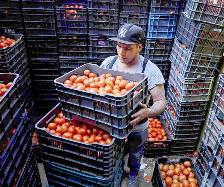 Hila jitomate doce meses a la baja; el m&aacute;s bajo desde 1971