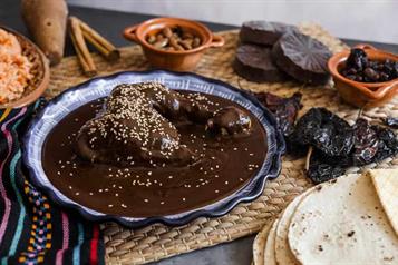 Busca Morena D&iacute;a Nacional del Mole