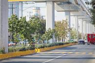 Presumen &eacute;xito del proyecto ambiental Bosques Urbanos