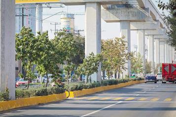 Presumen &eacute;xito del proyecto ambiental Bosques Urbanos