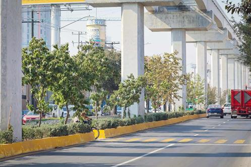 Presumen &eacute;xito del proyecto ambiental Bosques Urbanos