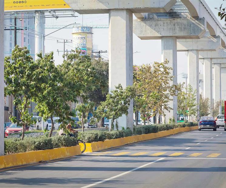 Presumen &eacute;xito del proyecto ambiental Bosques Urbanos