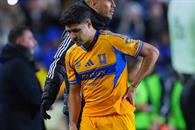 Nueva generaci&oacute;n felina, con falta de &acute;punch&acute;