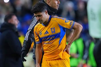 Nueva generaci&oacute;n felina, con falta de &acute;punch&acute;