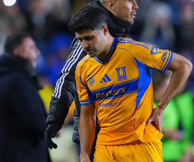 Nueva generaci&oacute;n felina, con falta de &acute;punch&acute;