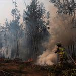 Dejan incendios en Chile 20 muertos tras arrasar comunidades