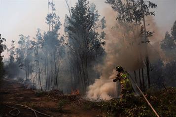Dejan incendios en Chile 20 muertos tras arrasar comunidades