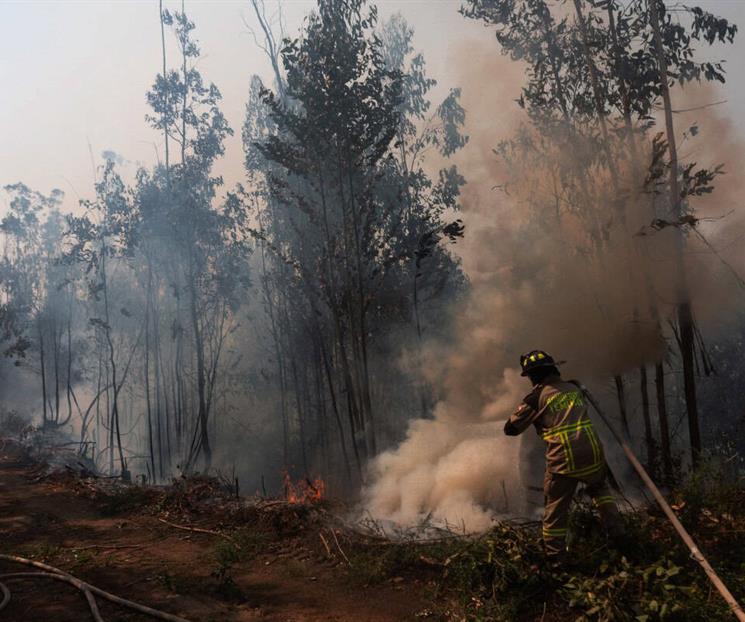 Dejan incendios en Chile 20 muertos tras arrasar comunidades