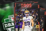 Osos de Monterrey se arman