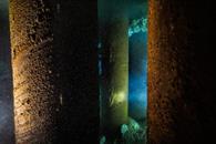 Preocupa a ambientalistas da&ntilde;o y contaminaci&oacute;n del Tren Maya