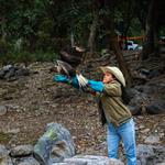 Liberan a ave en parque ecol&oacute;gico tras rehabilitaci&oacute;n