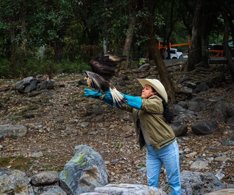 Liberan a ave en parque ecol&oacute;gico tras rehabilitaci&oacute;n