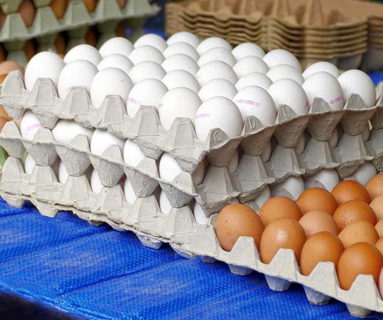 Lo que debes hacer para que los huevos no transmitan Salmonella