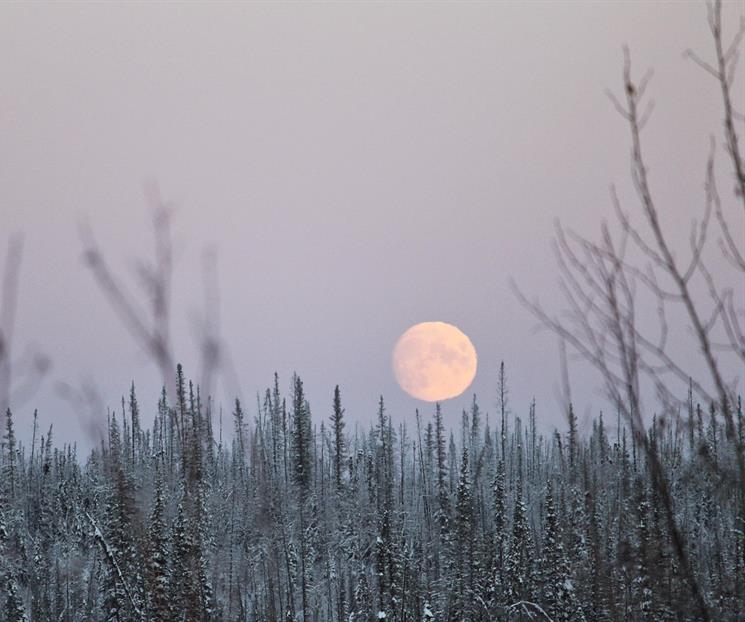 Luna de Nieve 2026: ¿cuándo ver el fenómeno astronómico? Luna de Nieve 2026: ¿cuándo ver el fenómeno astronómico?