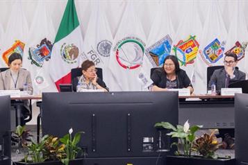 Violencia contra mujeres se investigar&aacute; como feminicidio