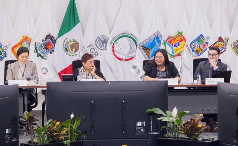 Violencia contra mujeres se investigar&aacute; como feminicidio