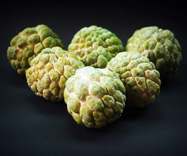 Beneficios de comer chirimoya Beneficios de comer chirimoya