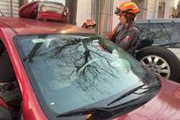 Resulta herida en choque contra cami&oacute;n