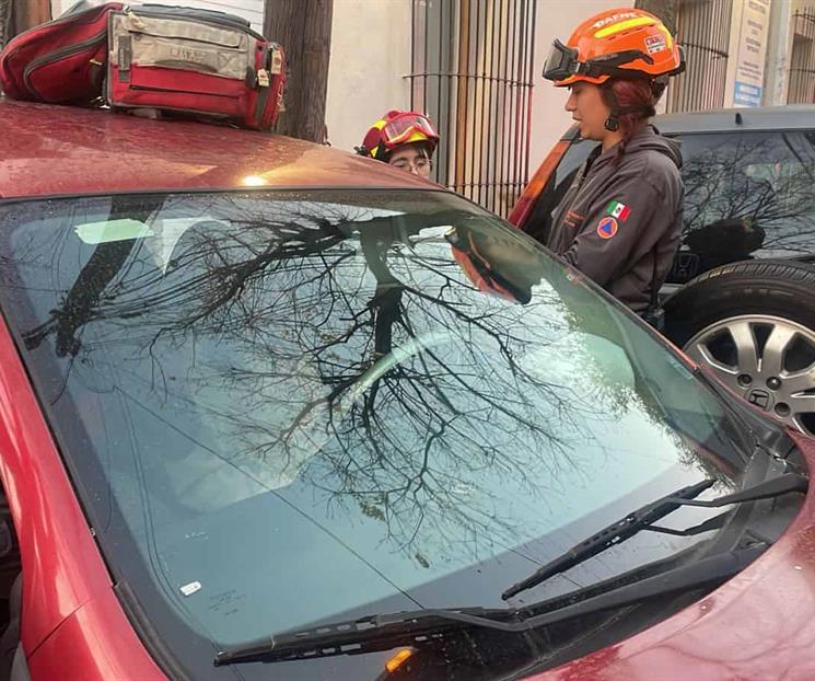 Resulta herida en choque contra camión Resulta herida en choque contra camión