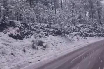 Tercera tormenta invernal deja nevadas en 3 municipios de Chihuahua