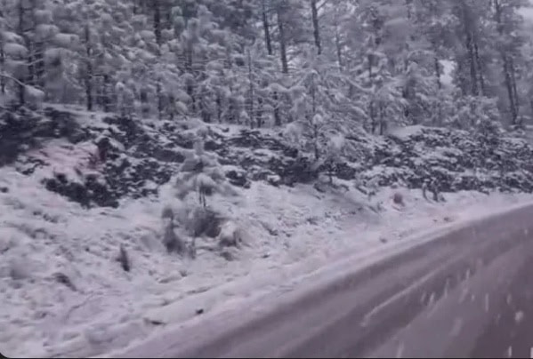 Tercera tormenta invernal deja nevadas en 3 municipios de Chihuahua