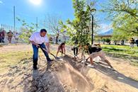 Refuerza Santa Catarina labores de reforestación Refuerza Santa Catarina labores de reforestación