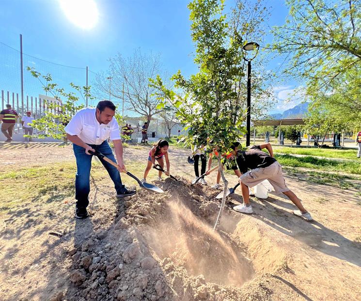 Refuerza Santa Catarina labores de reforestación Refuerza Santa Catarina labores de reforestación