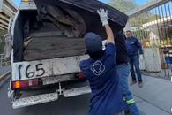 San Pedro continúa con descacharrización San Pedro continúa con descacharrización