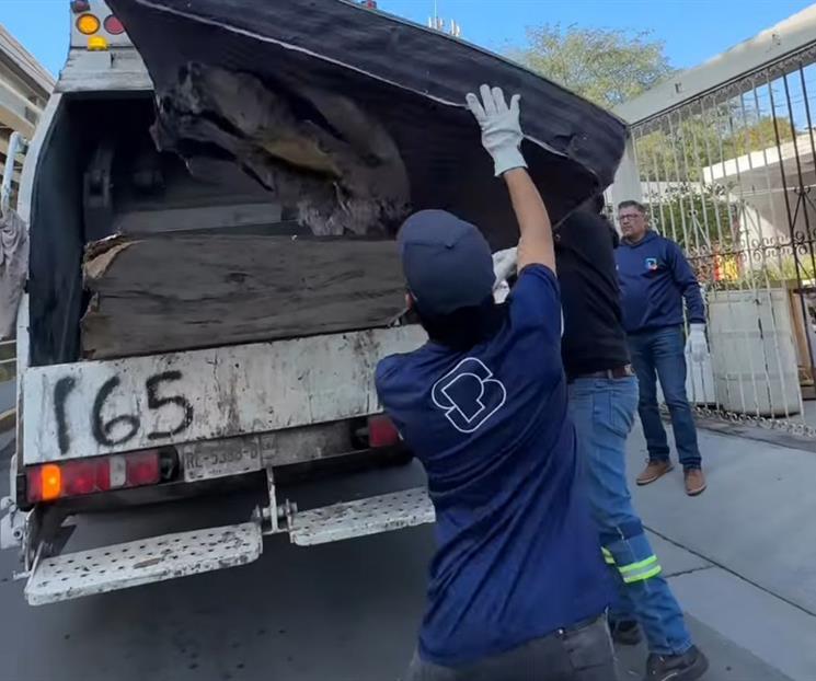 San Pedro contin&uacute;a con descacharrizaci&oacute;n