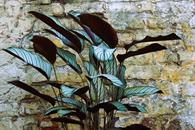 Las 5 plantas m&aacute;s recomendadas para interiores