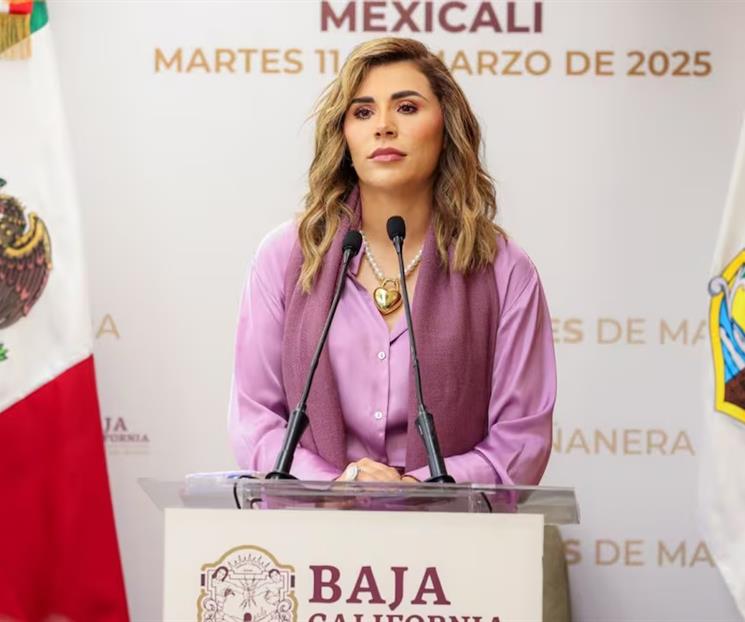 Piden a Marina del Pilar que deje el cargo Piden a Marina del Pilar que deje el cargo