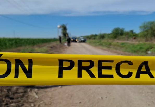 Cae avioneta fumigadora en Ahome, Sinaloa