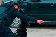 Fortalece Guadalupe su seguridad con 9 ejemplares caninos de &eacute;lite