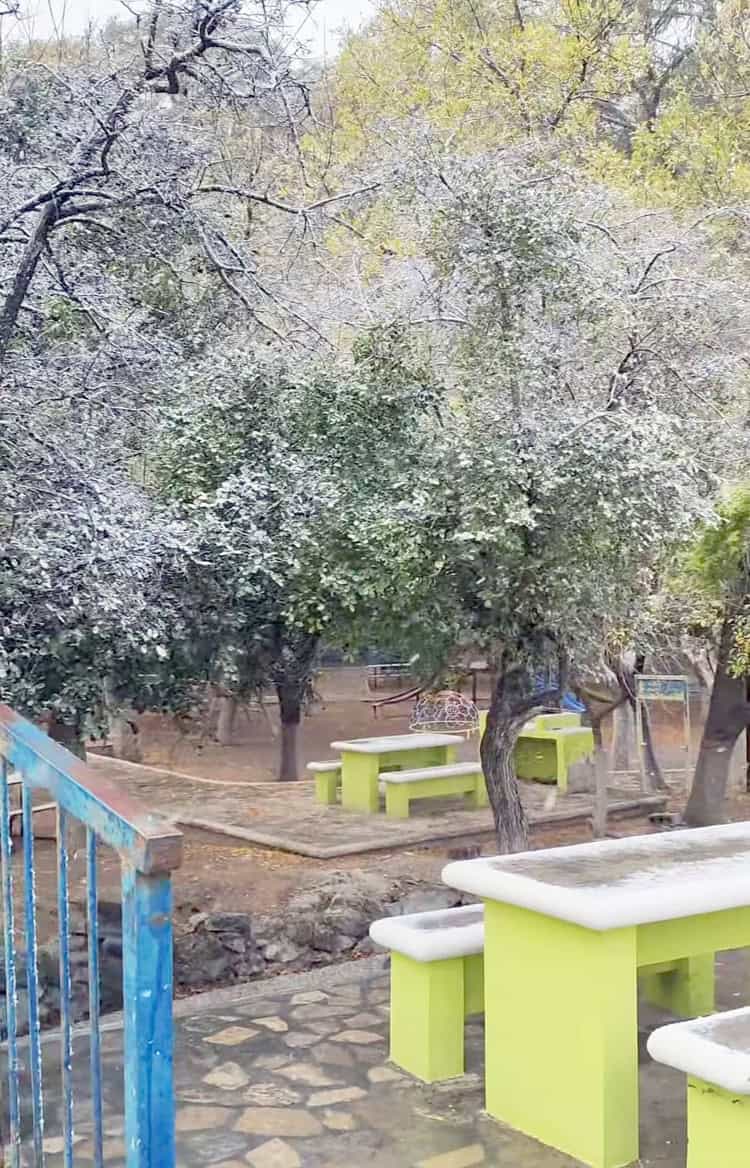 imagen-cuerpo imagen-cuerpo