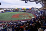 Definen rosters rumbo a la Serie del Caribe