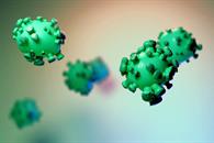 Virus Nipah: síntomas del mal que puso en alerta a India Virus Nipah: síntomas del mal que puso en alerta a India