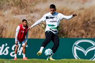 Enfrentará Tigres a un León con delantera goleadora Enfrentará Tigres a un León con delantera goleadora