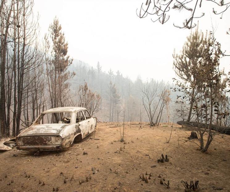 Declara Argentina emergencia por incendios que azotan la Patagonia Declara Argentina emergencia por incendios que azotan la Patagonia